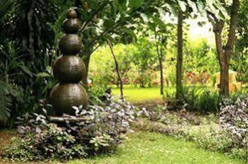 Casa Comalli & Spa Comala Kültér fotó